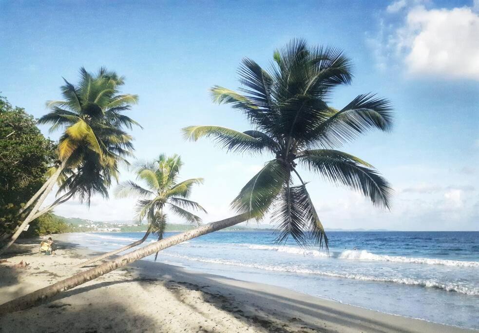 Superbe Studio, A 20 Metres De La Plage, Acces Direct Grande Plage Diamant Le Diamant Luaran gambar