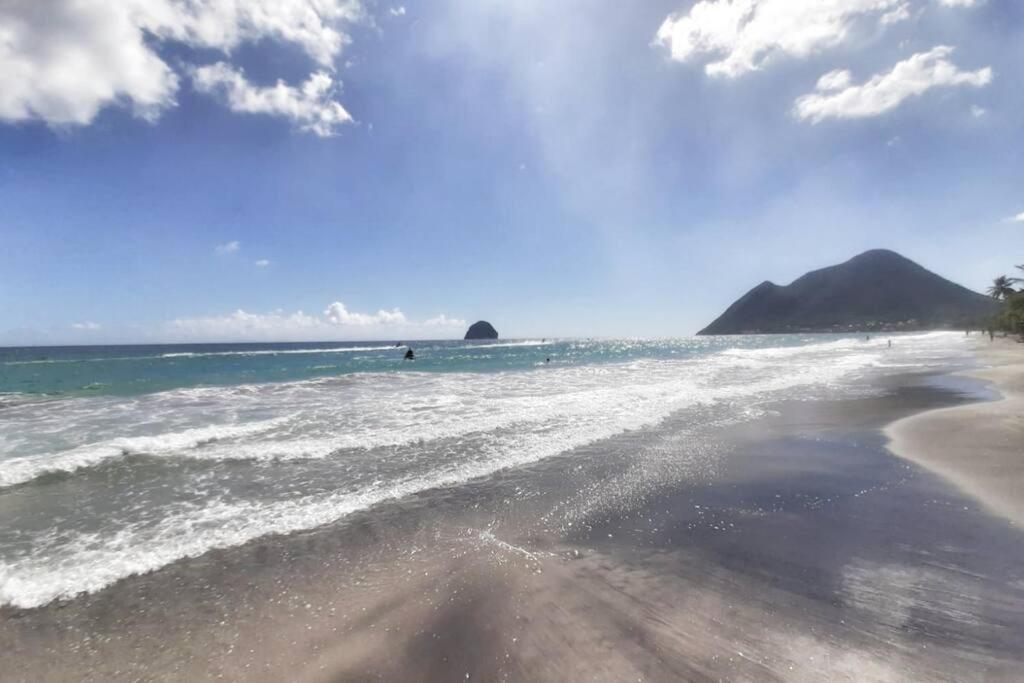 Superbe Studio, A 20 Metres De La Plage, Acces Direct Grande Plage Diamant Le Diamant Luaran gambar